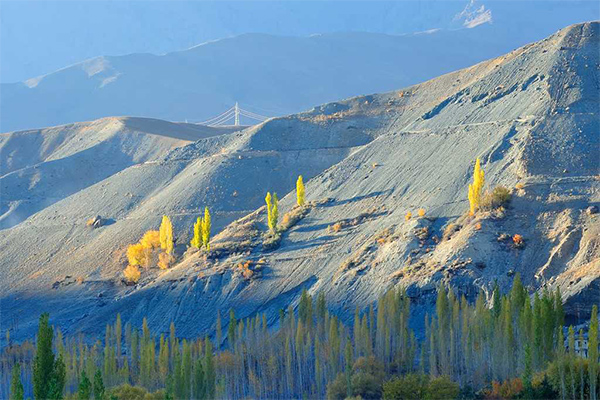 kashmir